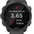 Garmin Forerunner 245