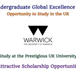 Warwick Undergraduate Global Excellence Scholarship for International Students